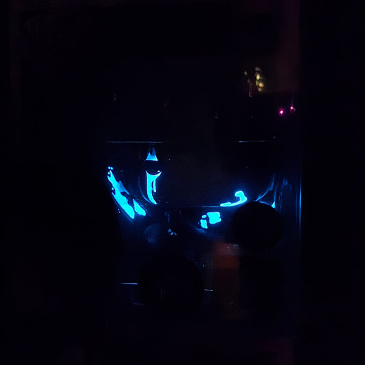 Toji Fushiguro CHASE - SE exc. - JUJUTSU KAISEN