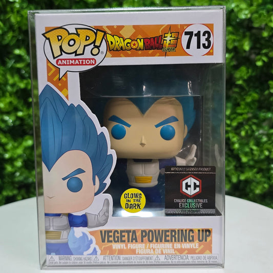 Vegeta Powering up (GLOW) - CHALICE exc.