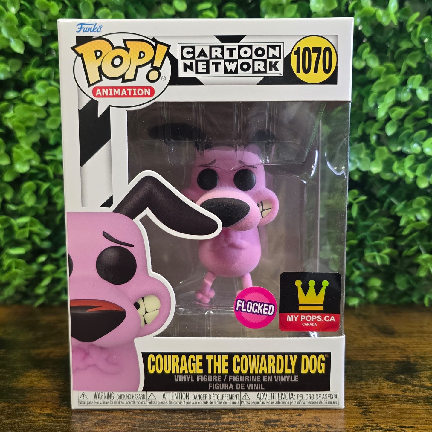 Courage the cowardly dog - MYPOPS exc. - CARTON NETWORK
